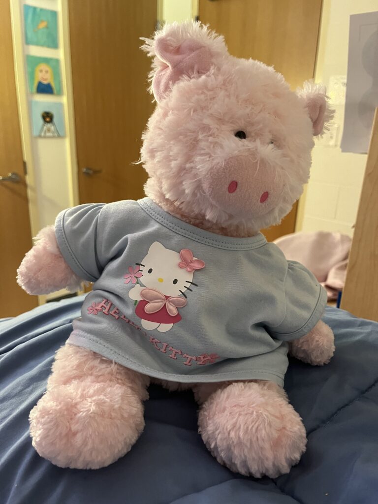 Wilbur wearing a Hello Kitty shirt sitting on a blue comforter. 